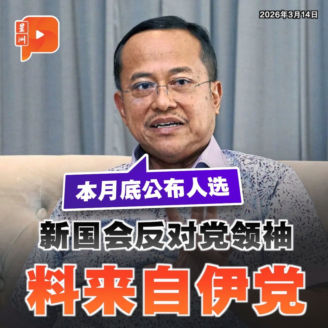 百格Pocketimes 配图