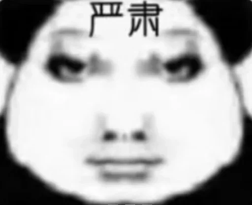 YT.NET 群组 配图