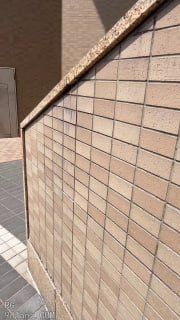 XY色大杂烩 配图