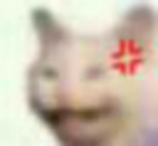 在花🎗️科技圈 配图