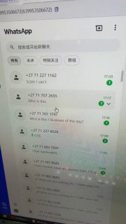 ws群发～WhatsApp群发～ws磐石系统 配图