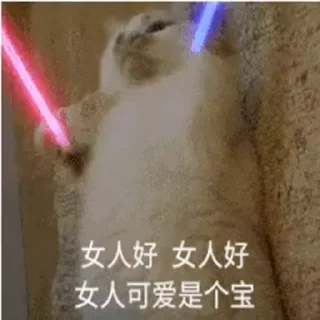在花🎗️科技圈 配图