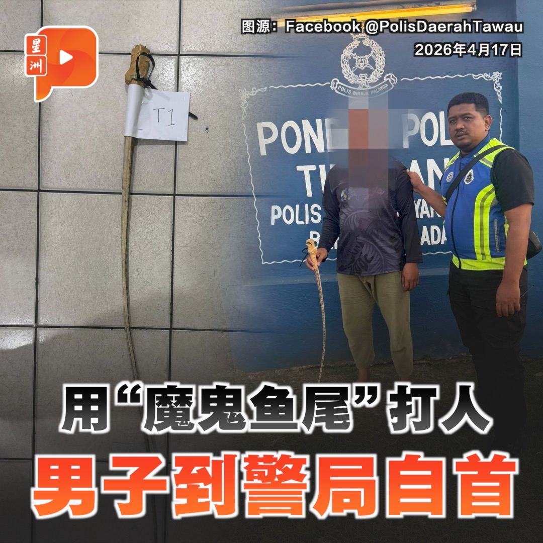 百格Pocketimes 配图