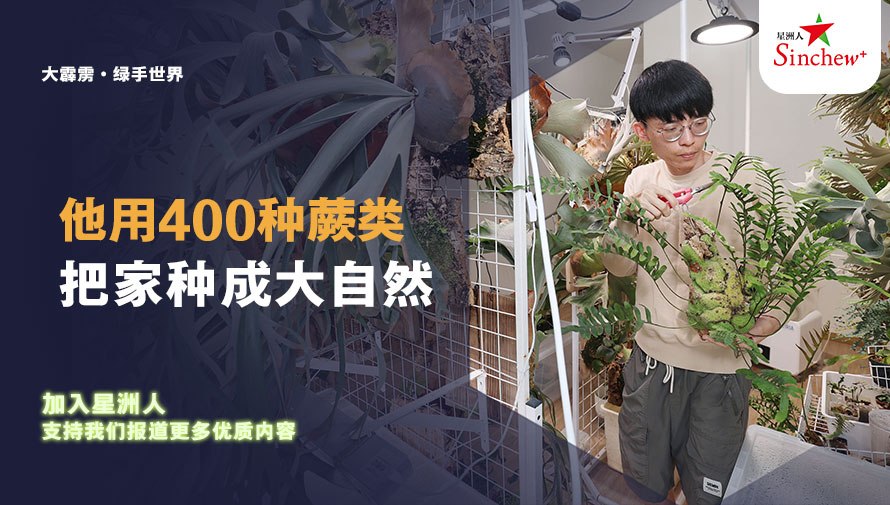 百格Pocketimes 配图