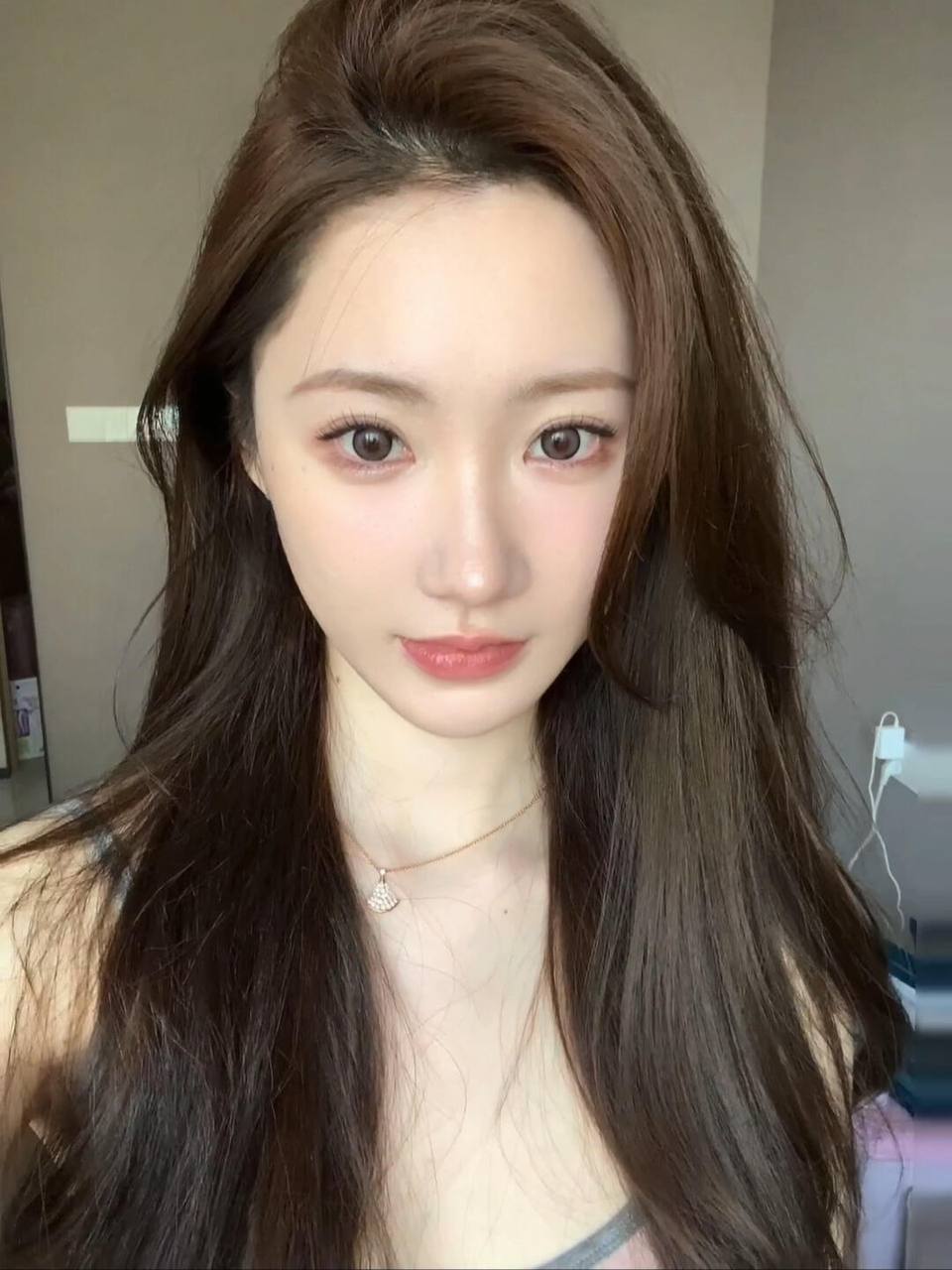 深圳花荟资源录 配图