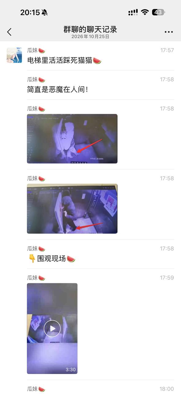 吃瓜热点 配图