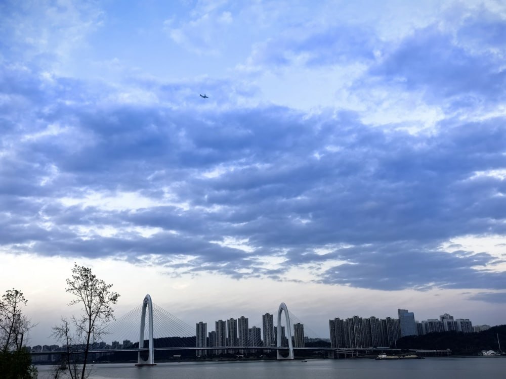在花小茶馆🍵 配图