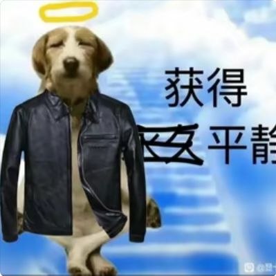 在花🎗️科技圈 配图