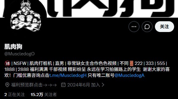 『冈本桑』推特博主目录丨关注防丢失 配图