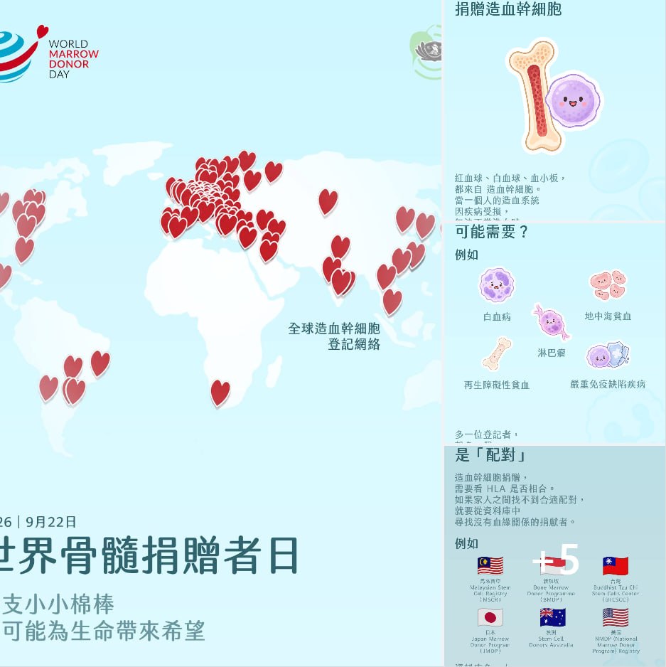 DaAi Channel Malaysia 配图