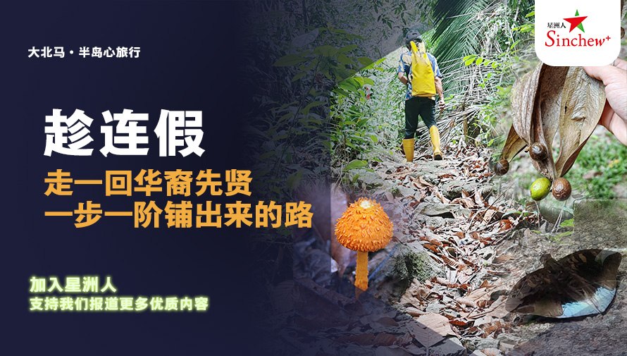 百格Pocketimes 配图