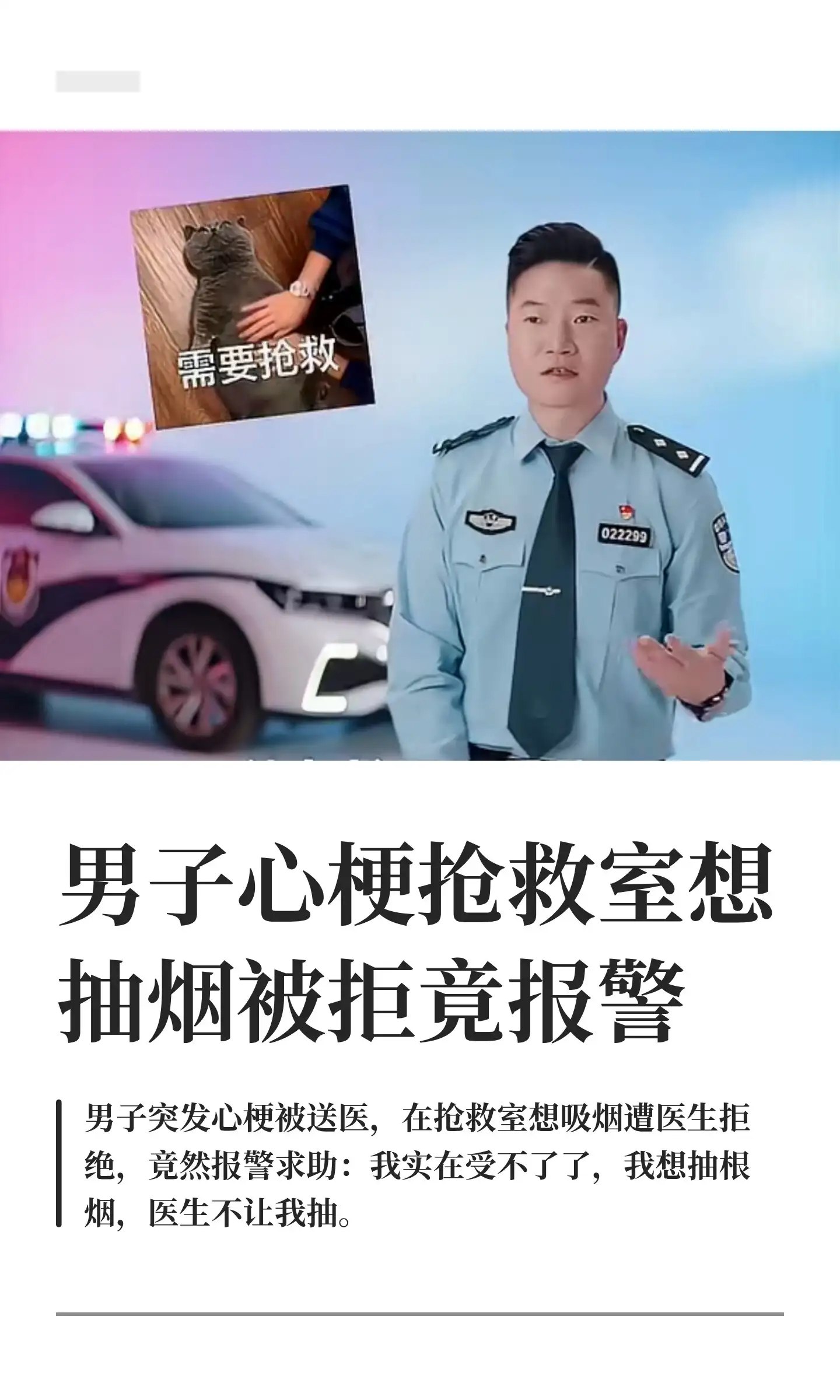 简中互联网废物们 配图