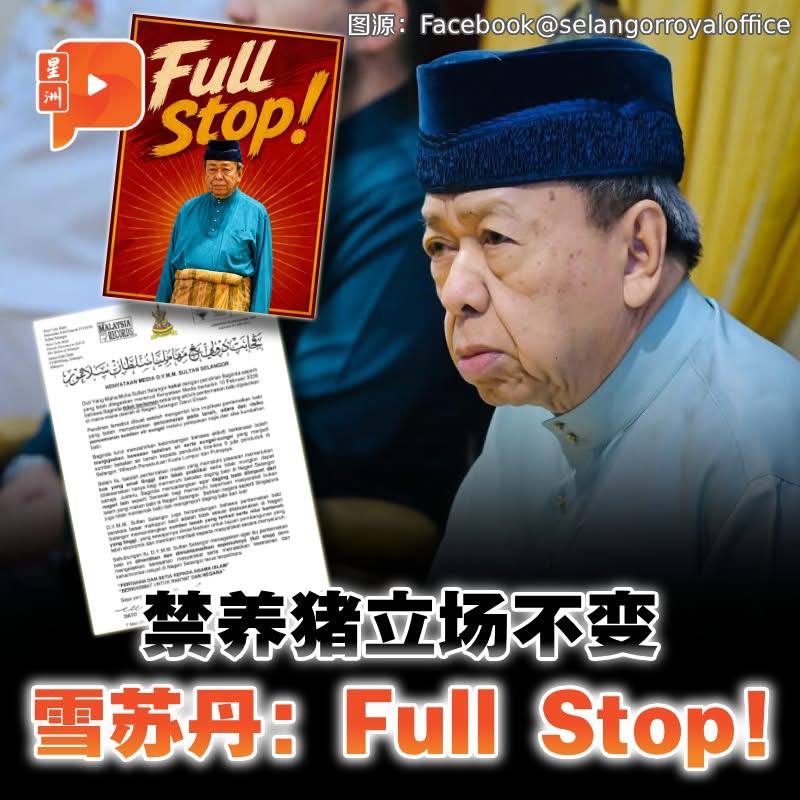 百格Pocketimes 配图