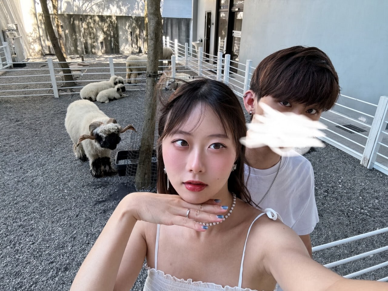 萝莉阁学生少女爱口交 配图