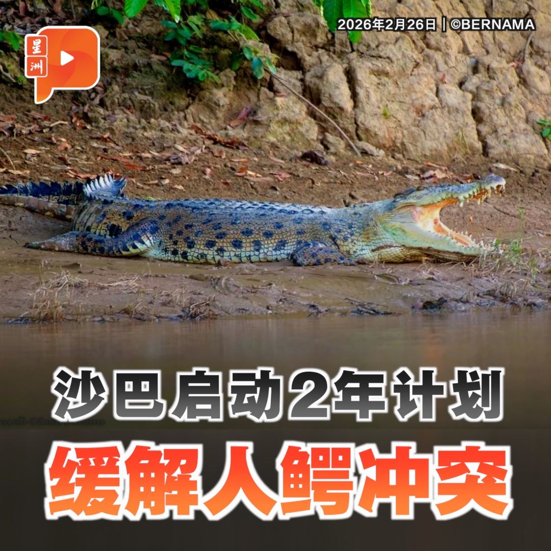 百格Pocketimes 配图