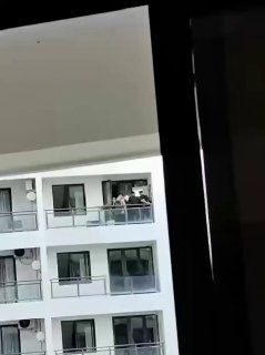 东南亚大事件|曝光|新闻时报 配图