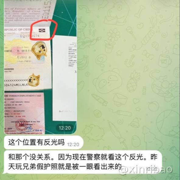 新东南亚|灰产博彩狗推交流 🅥 配图