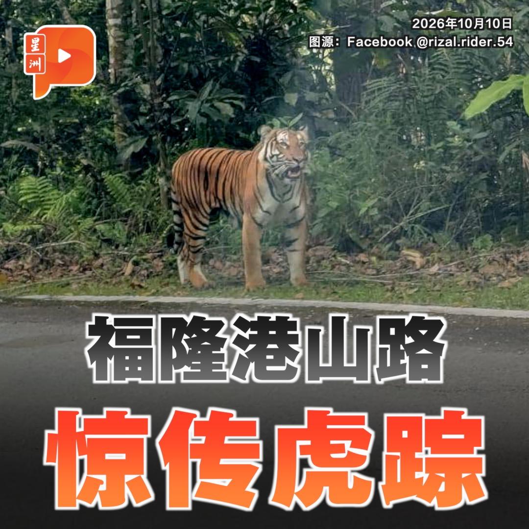 百格Pocketimes 配图