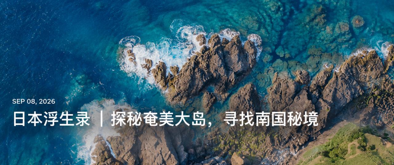 APPDO 数字生活指南 配图