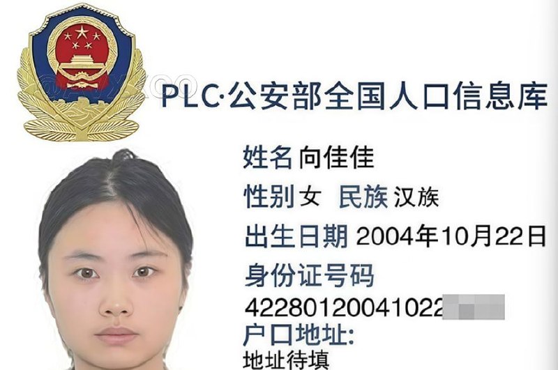 美貌加载中 配图