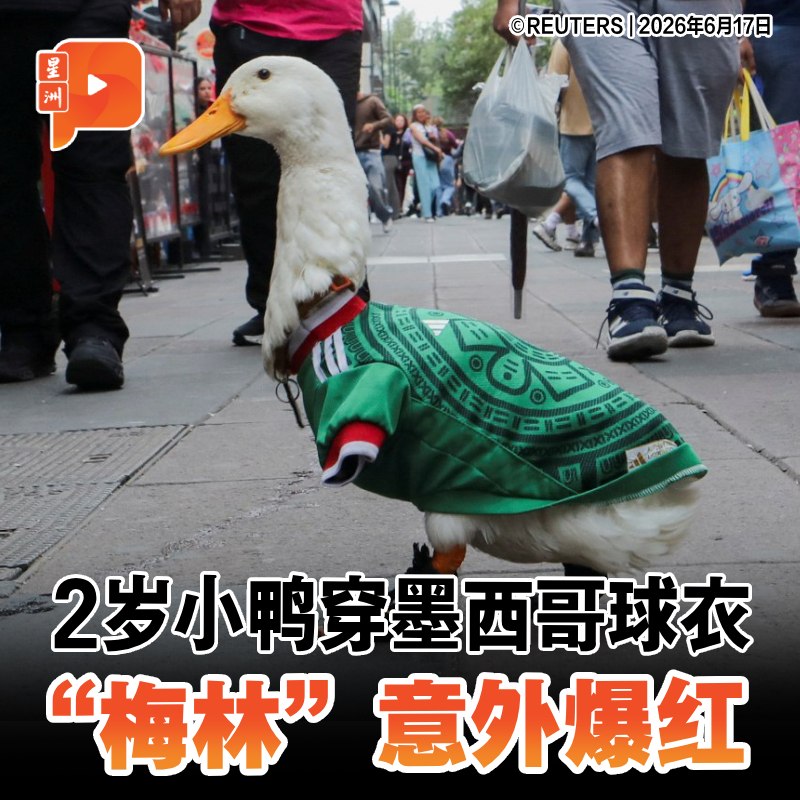 百格Pocketimes 配图