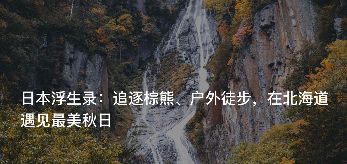 APPDO 数字生活指南 配图