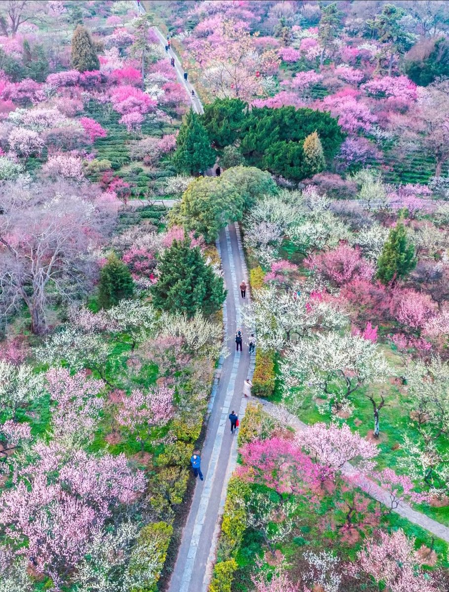 融媒广昌 配图