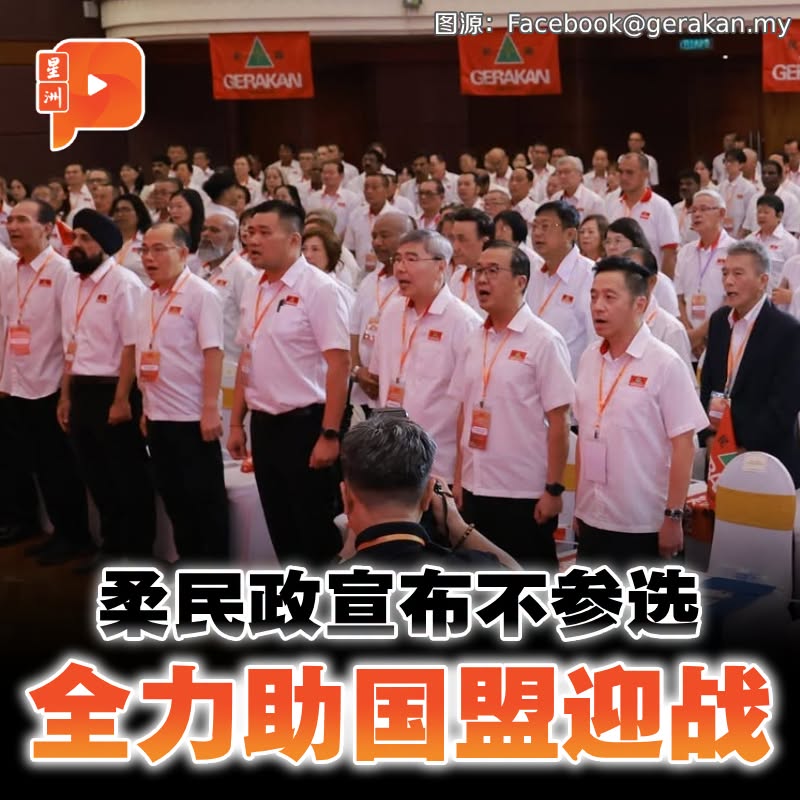 百格Pocketimes 配图