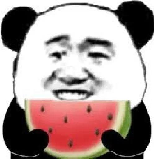 『西安狼友出击之路』 配图