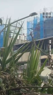 黑色豪門企業 配图