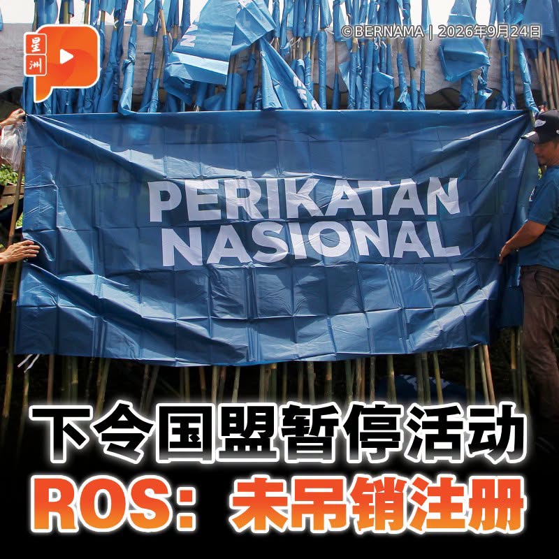 百格Pocketimes 配图