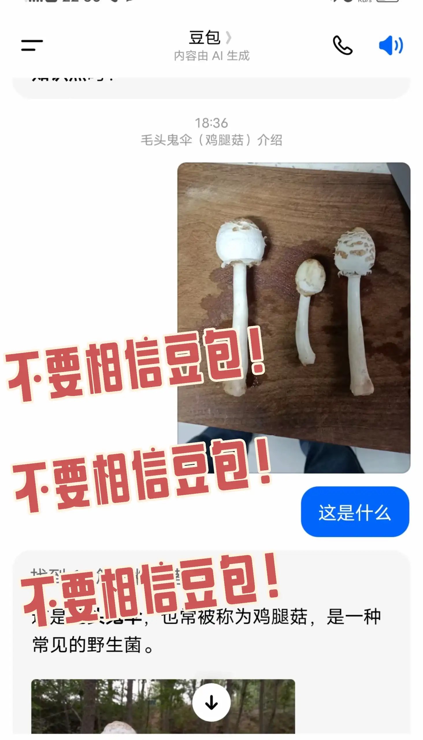 简中互联网废物们 配图
