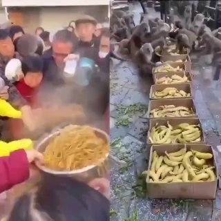 今天你想跑路了吗?? 配图