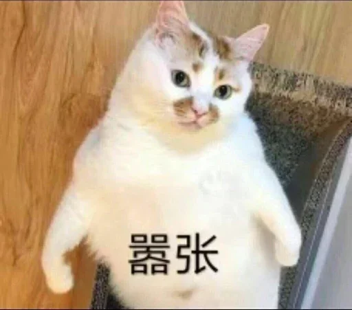 时不时来一点医学科学前沿🤯🤯🥹🥹 聊天 配图