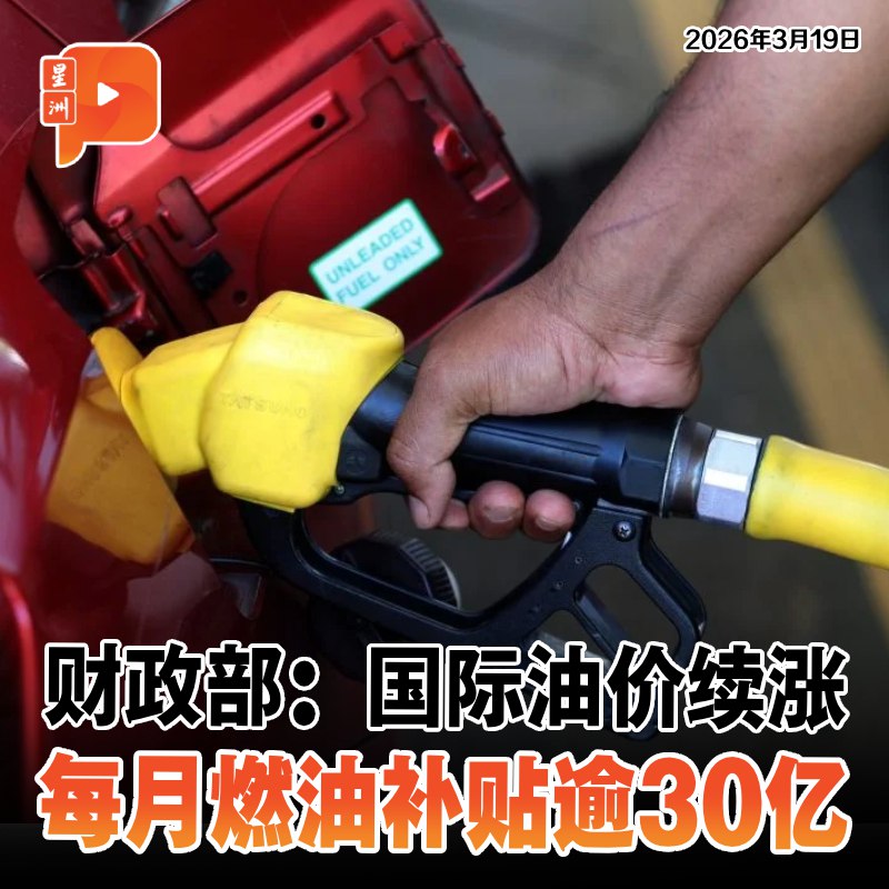 百格Pocketimes 配图