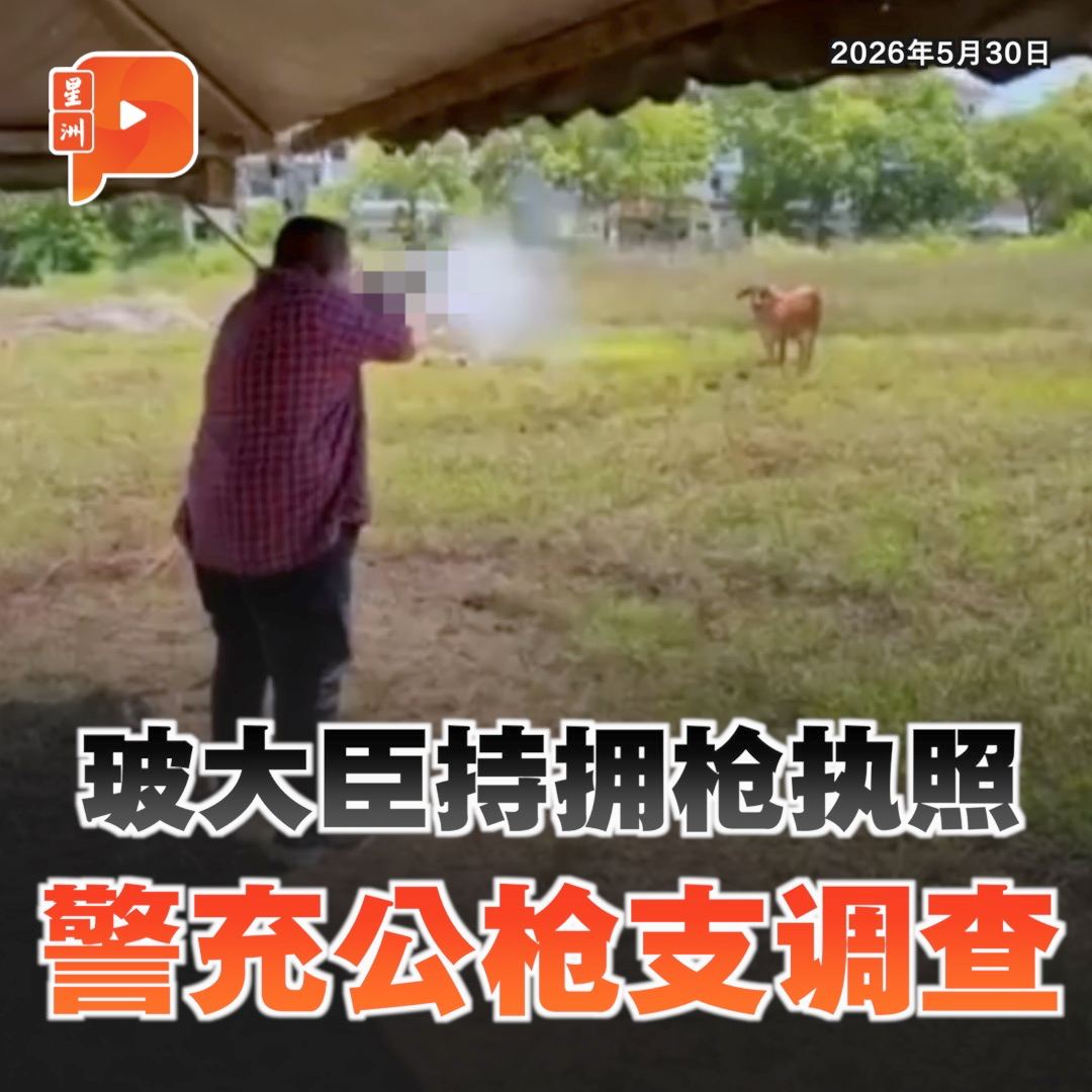 百格Pocketimes 配图