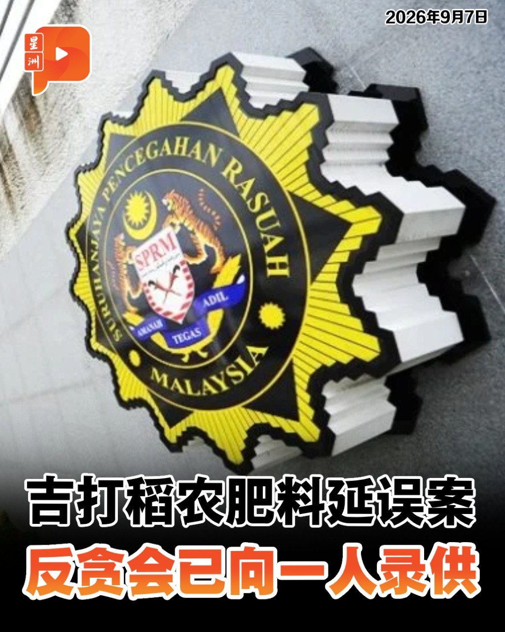 百格Pocketimes 配图