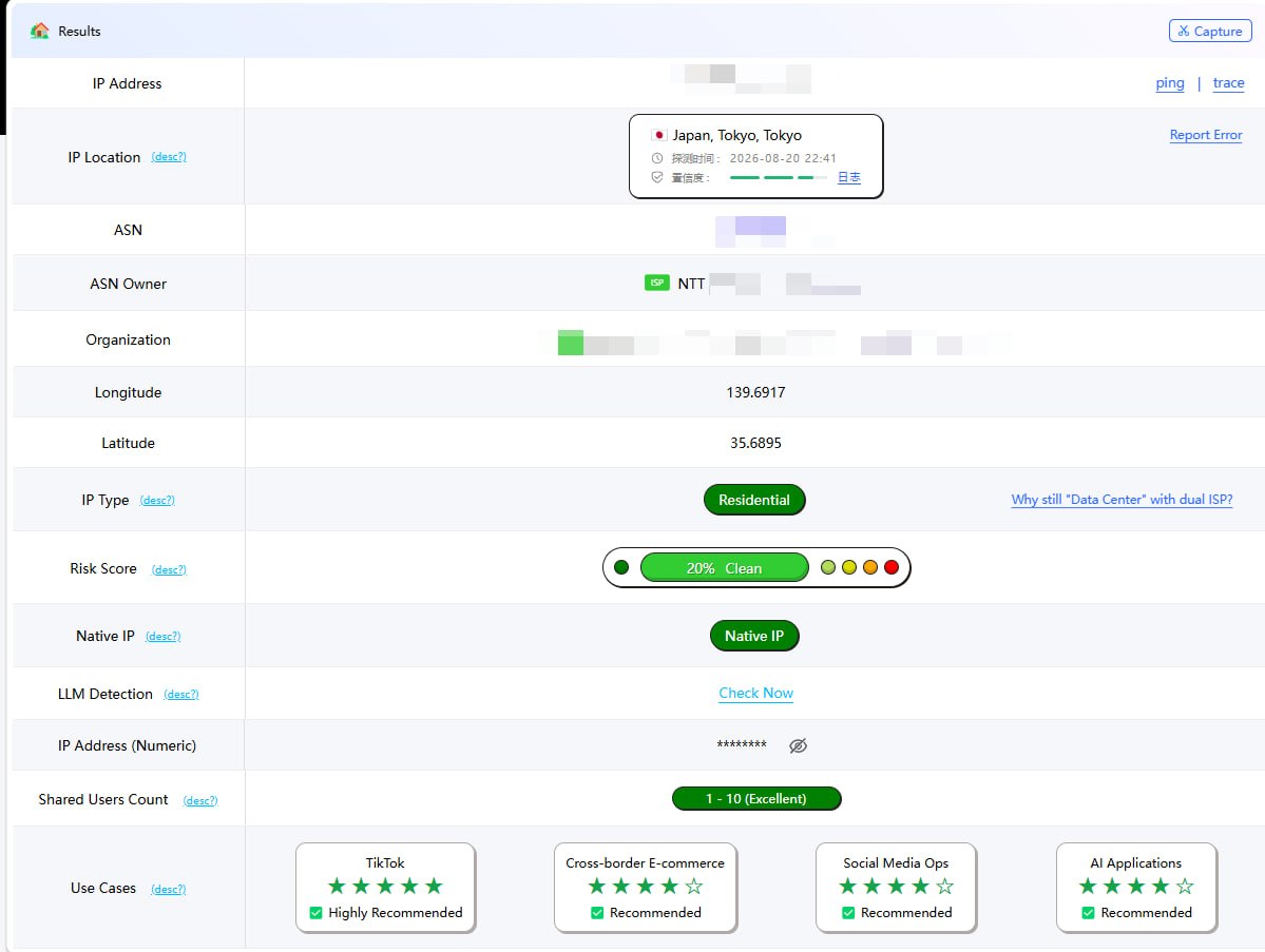 Lumio Networks 配图