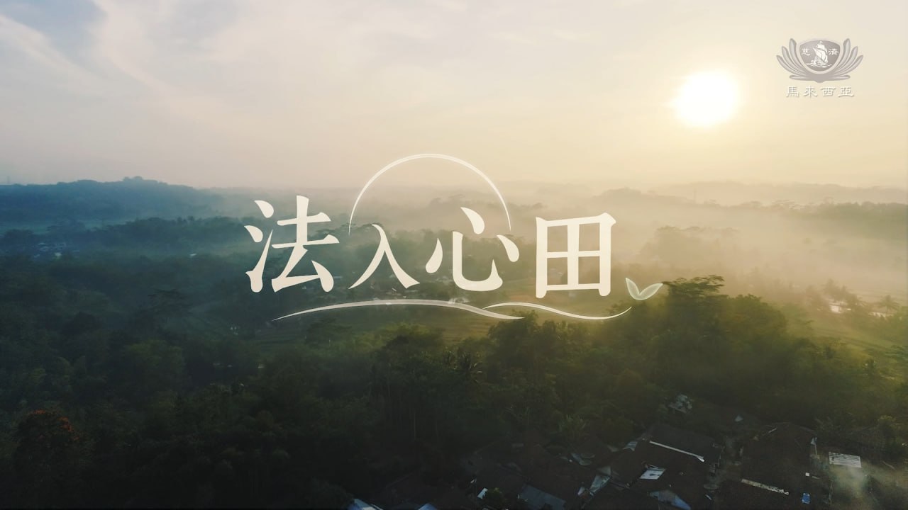 DaAi Channel Malaysia 配图