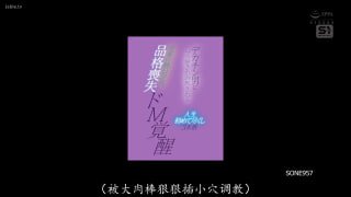 精典日本AV💋 配图