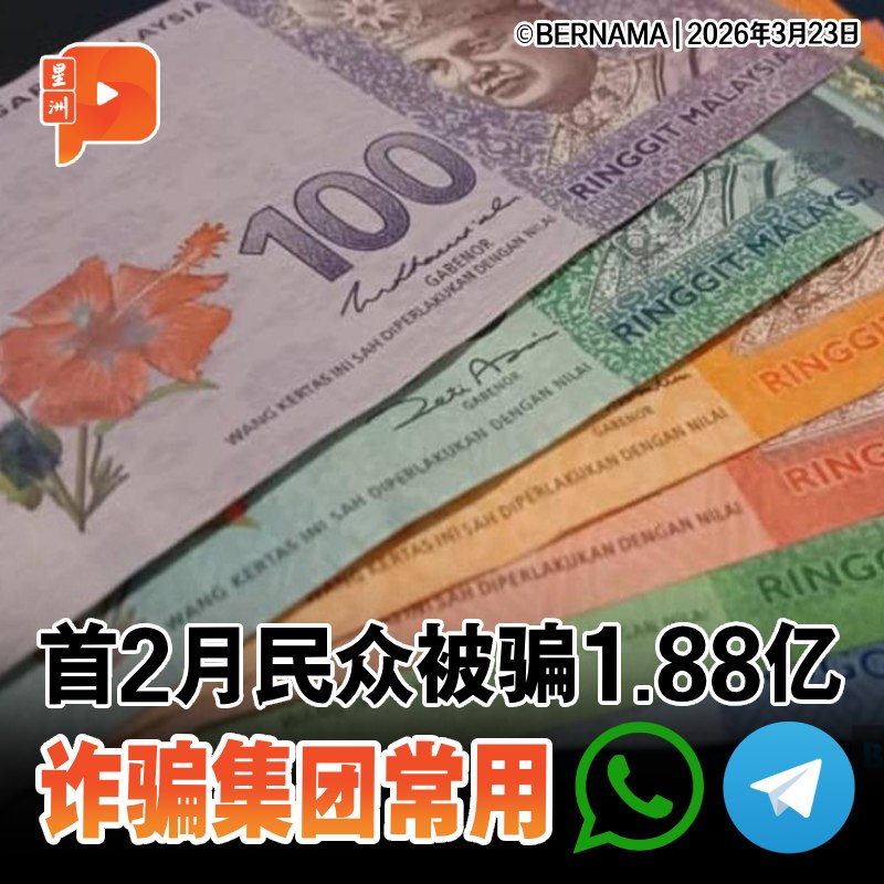 百格Pocketimes 配图