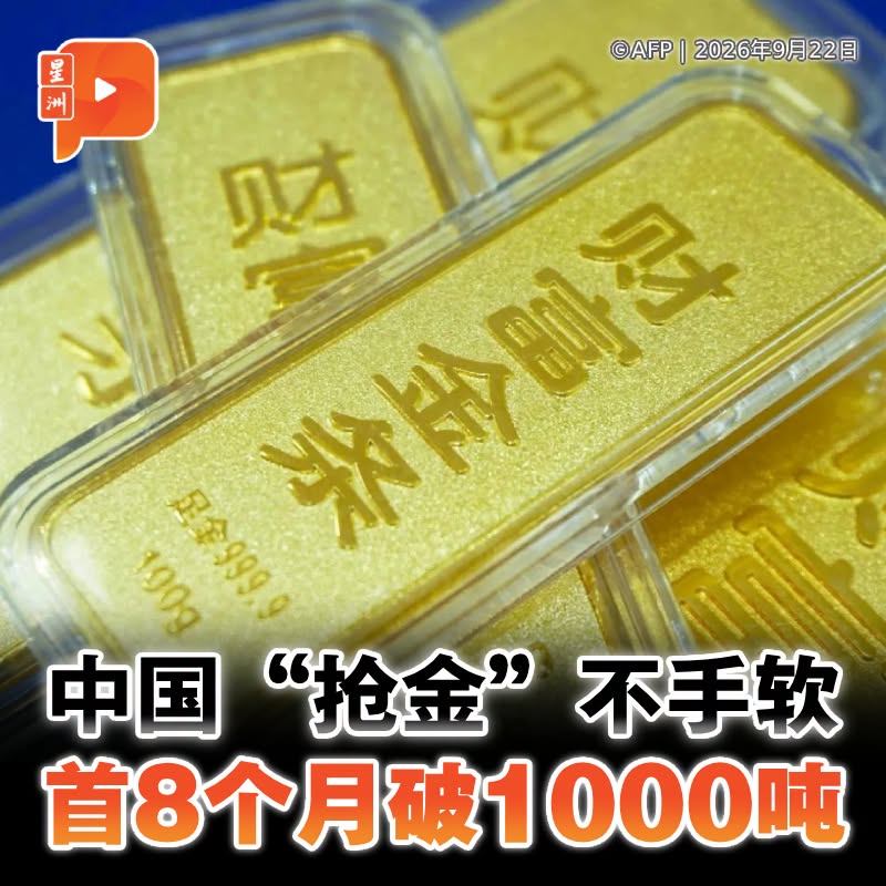 百格Pocketimes 配图